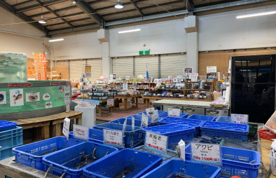 道の駅 多々羅しまなみ公園